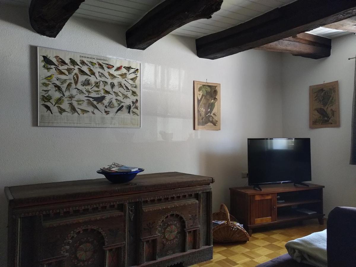 Fewo Im Mesnerhaus Mengen Kültér fotó